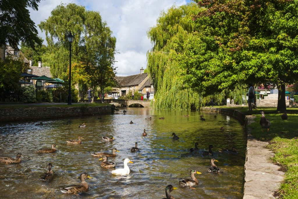 Minibus tours from Bath to Cotswolds ponds