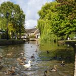 Minibus tours from Bath to Cotswolds ponds